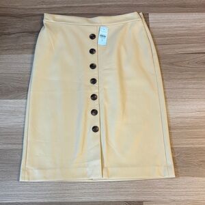 Ann Taylor Faux Leather Pencil Skirt 6P